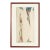 1979 “Presentation” Monotype Print by Matt Phillips For Sale