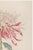 Japanese Japanese Chrysanthemum by Hasegawa, Vintage Botanical Art Print, 8" X 12" For Sale - Image 3 of 8