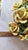 Ceramic Vintage Italian Capodimonte-Style Porcelain Floral Arrangement Yellow Roses and Green Leaves Set Inside a White Textured Ceramic Basket. For Sale - Image 7 of 16