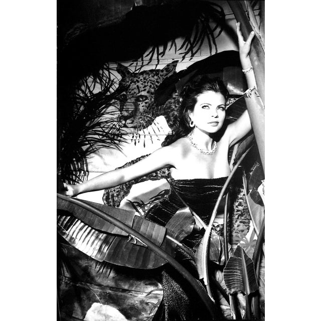 1990s "Cartier Untamed" 1997 Von Zitzewitz, Vanessa For Sale - Image 5 of 11