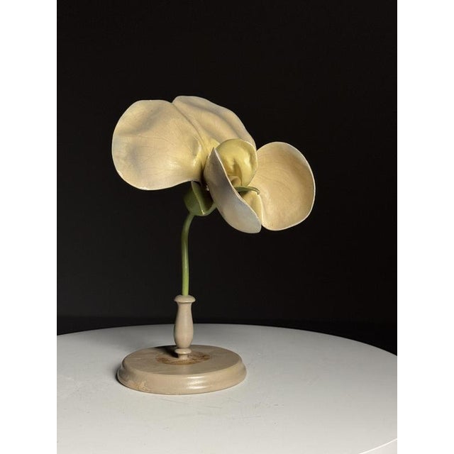 Paper German Botanical Flower Model, 1900 For Sale - Image 7 of 18