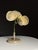 Paper German Botanical Flower Model, 1900 For Sale - Image 7 of 18
