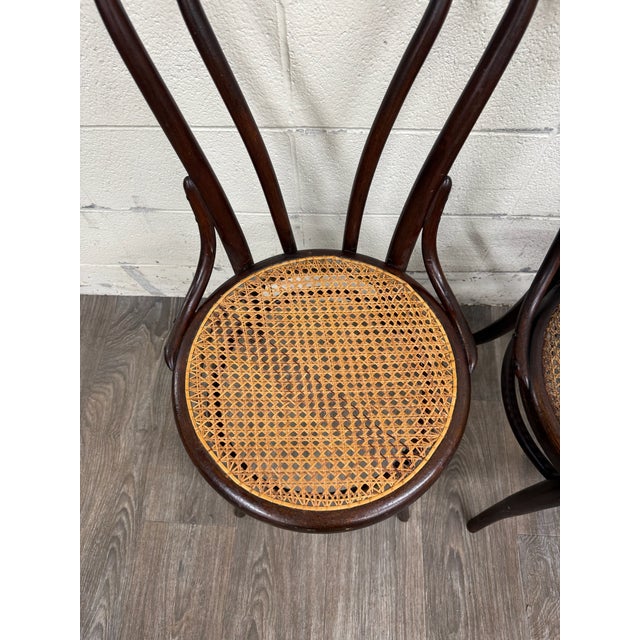 Traditional Antique Thonet Style Bentwood Caned Seat Dining Chairs - Set of 4 For Sale - Image 3 of 12