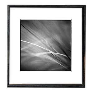 Paul Cooklin, Grass #I, Edition of 50 For Sale