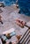 Sunbathers by Toni Frissell Description A group of sunbathers, 1954. (Photo by Toni Frissell) 20x16" inches / 50x40cm...