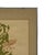 Framed botanical illustration depicting a Tiger Lily (Lilium tigrinum), created and signed by Wendy Wheeler. The artwork...