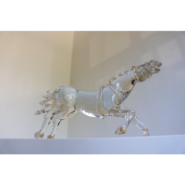 Mid-Century Italian Murano Glass Horse Sculpture with 24 Karat Gold by Arnaldo Zanella, 1970s For Sale - Image 6 of 18