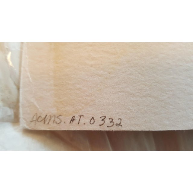 1950s Photograph by Alfred Statler For Sale In Nashville - Image 6 of 7