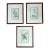 Mid 19th Century Set of 3 Antique English Botanical Prints, Framed For Sale