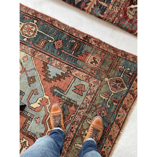 1900 - 1909 Antique Terracotta Sage Green Ice Blue & Eggshell Rug 9.3 X 14 For Sale - Image 5 of 12