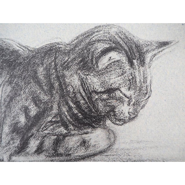Théophile Alexandre Steinlen, The Tabby Cat, 1933, Lithograph For Sale - Image 4 of 6
