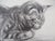 Théophile Alexandre Steinlen, The Tabby Cat, 1933, Lithograph For Sale - Image 4 of 6