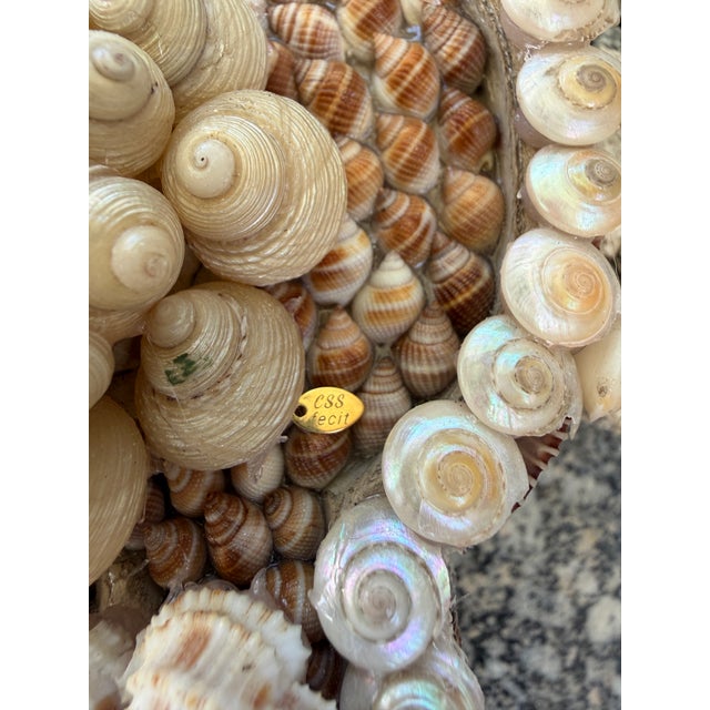 Wood CSS 20"h. Seashell Cross For Sale - Image 7 of 7