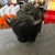 Black 1990s Modernist Black Fat Lava Ceramic German Bison For Sale - Image 8 of 12