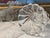 Baccarat Baccarat Crystal Candleholder with Bamboo Twisted Pattern, France, 1950s For Sale - Image 4 of 5
