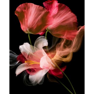 "Ashes to Petals" Limited Edition Fine Art Print For Sale