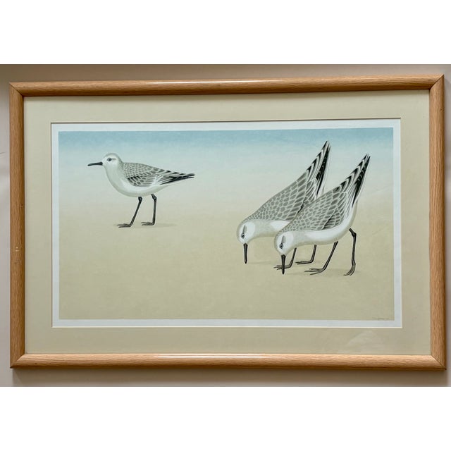 1970s Print - Sandpipers by David Grose For Sale - Image 4 of 11