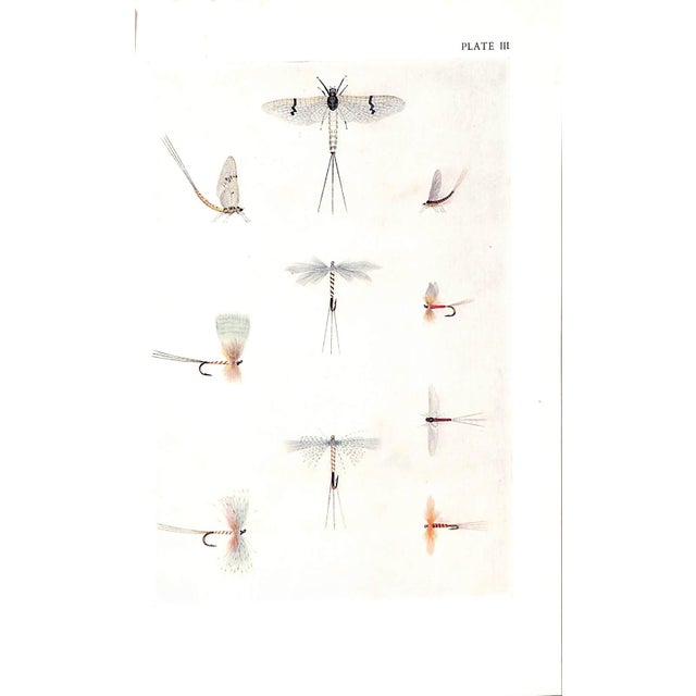 Paper "Chalk Stream Flies" Book 1953 Walker, c.f. For Sale - Image 7 of 7