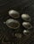 Walter Bosse SDL Stacking Hedgehog Ashtray Set 1950’s Germany