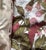 Vintage Mid Century Bird & Floral Cotton Sateen Drapes, Pair 22” X 82” For Sale - Image 4 of 11