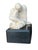 Seated Figure Terra Cotta by Eleanor E. Sharp Vintage sculpture of seated male figure. THE BUFFALO FINE ARTS ACADEMY...