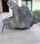 Sculpture Materials Late 20th Century Terrier For Sale - Image 7 of 13