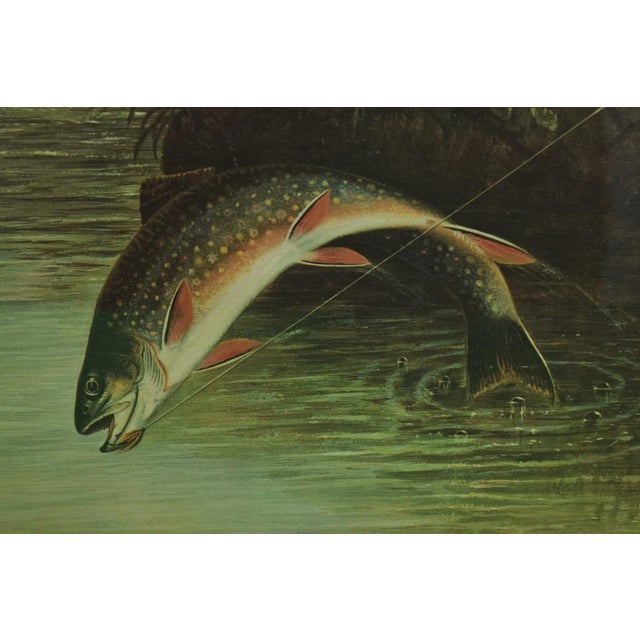 Printmaking Materials Authorized Orvis Dealer Leaping Trout Colour- Plate by s.a Kilbourne 1878, Framed For Sale - Image 7 of 7