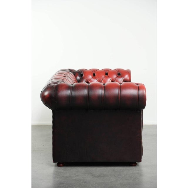 Offered by ByThijs: this beautiful English Chesterfield 2.5/3-seater sofa made of cowhide leather in a luxurious red...