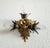 Modern Vintage Florentine Silver-Plated and Gold-Plated 3-Light Ceiling or Wall Lamp from Banci Firenze, Italy, 1960s For Sale - Image 3 of 18