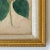 Paint Antique 19th Century Hand Painted Watercolor Victorian Botanical Prints in Gilt Frames For Sale - Image 7 of 9