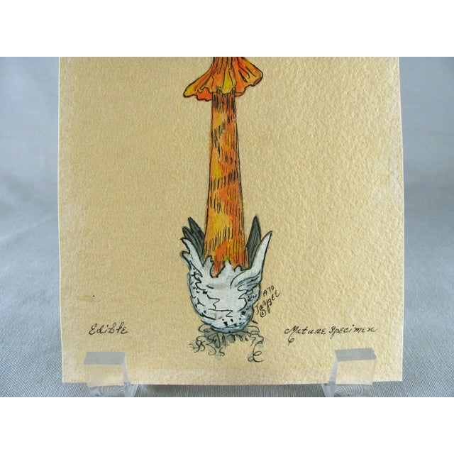 1970s Handpainted Mushroom Speciman Paintings on French Handmade Paper - Set of 2 For Sale - Image 4 of 10