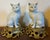 Antique 19th Century Japanese Blanc De Chine Models of Seated Cats Mounted on French Gilt Bronze Ormolu Bases - A Pair For Sale - Image 4 of 12