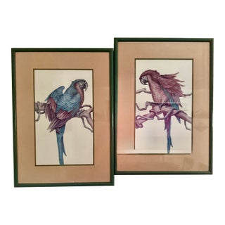 1980s Parrot Framed Prints by Paul Brent - Set of 2 For Sale