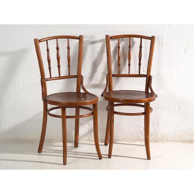 Bentwood Chairs in the style of Thonet, Central Europe, 1930, Set of 4 For Sale - Image 4 of 17
