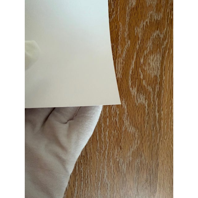 Jenny Saville, Rosetta II, 2000s, Print For Sale - Image 4 of 11