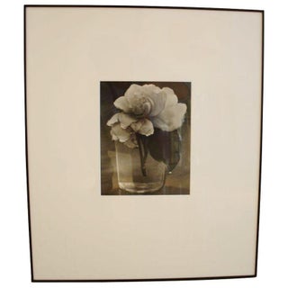 Consuelo Kanaga "Camelia in Water" For Sale