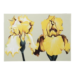 Lowell Blair Nesbitt, Two Yellow Irises on Sage Ii, Screenprint For Sale