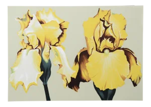 Lowell Blair Nesbitt, Two Yellow Irises on Sage Ii, Screenprint