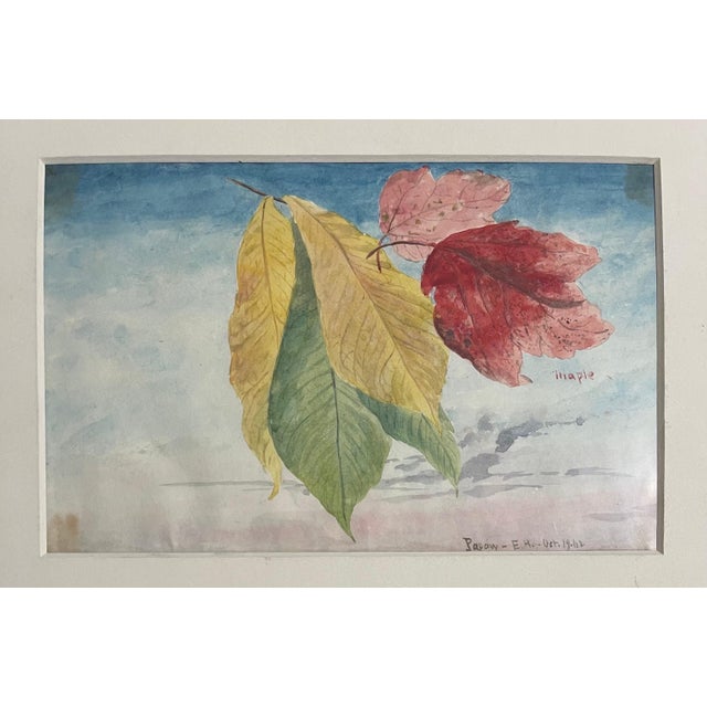 Charles De Wolf Brownell, Maple Leaves Watercolor Painting 19th C. American Artist Charles DeWolf Brownell, 1902 For Sale - Image 13 of 13