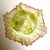 Glass Antique Jefferson Northwood Vaseline Glass Ruffle Bowl For Sale - Image 7 of 8