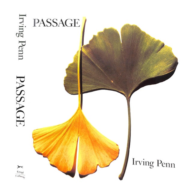 "Passage a Work Record" 1991 Penn, Irving (Signed) For Sale