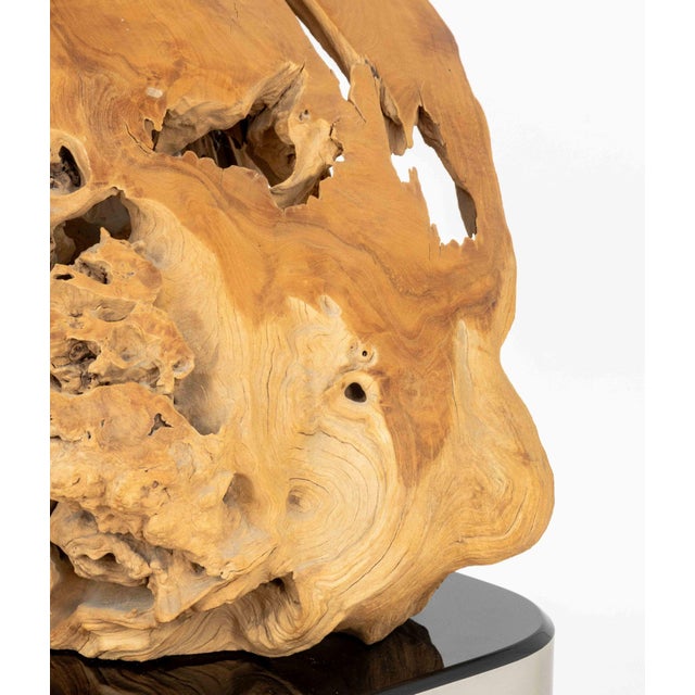 Dale Zarrella Portrait Driftwood Sculpture, 1996 For Sale - Image 9 of 18
