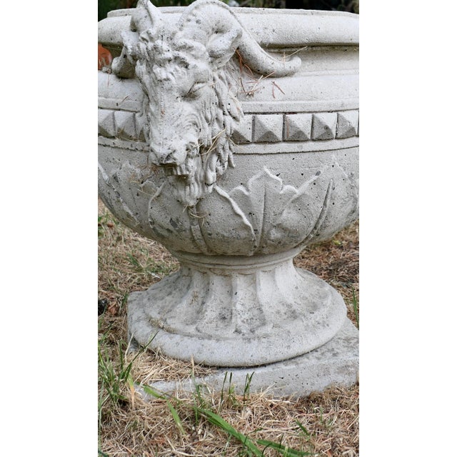 Vintage Rams Head Planter in Stone, 1930 For Sale - Image 3 of 7