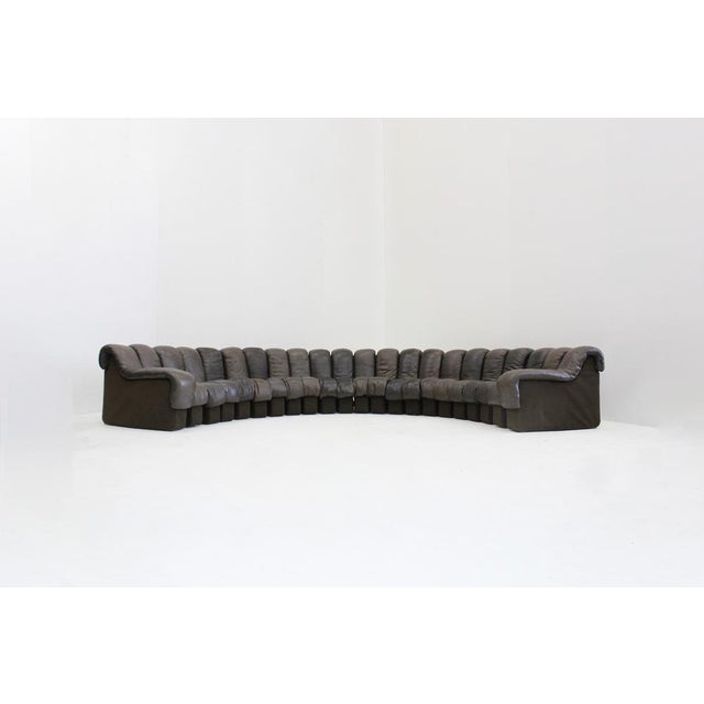 Vintage DS-600 Non Stop Snake Sofa from de Sede, 1970s, Set of 22 For Sale - Image 13 of 14