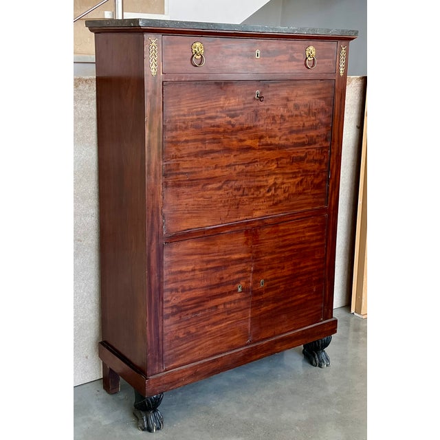 Biedermeier 19th Century Classical Charles X Burled Mahogany Secretaire a Abattant For Sale - Image 3 of 13