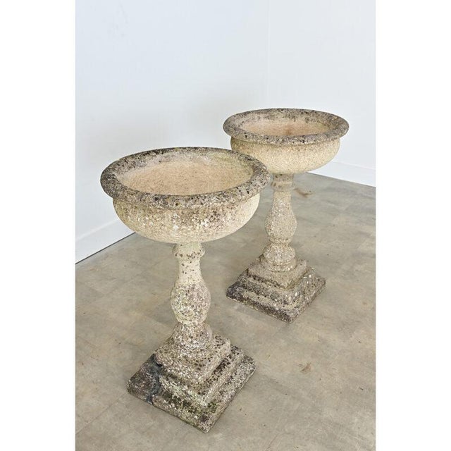 English Pair of 19th Century Cast Stone Planters For Sale - Image 4 of 14