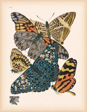 Papillons (Butterflies) Plate 3 Giclee Reproducion Art Print by Emile Allian Séguy