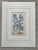 English 19th.century Robert Sweet Botanical Print With Flower Description Page Attached to Back. It Is an Hand Colored Engraving. For Sale - Image 3 of 9