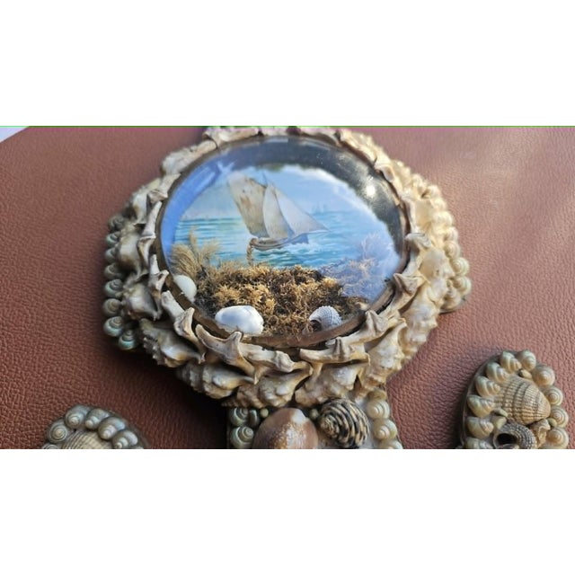 Victorian Anchor Seashell Maritime Diorama in Beech and Glass For Sale - Image 5 of 10