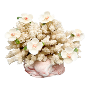 Folk Art Coral & Shell Flower Arrangement – Coastal Decor With Swirled Composite Base